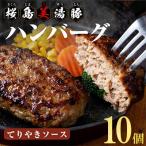 桜島美湯豚 てりやきソース ハンバーグ 150g×10個