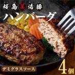W-0402 桜島美湯豚 おろしソース ハンバーグ 150g×4個
