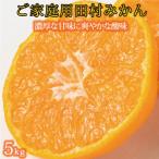 訳あり きよみ 清見オレンジ 和歌山 有田 2S~3Lサイズ混合 …