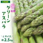 2027年発 春収穫グリーンアスパラ Lサイズ 500g×5