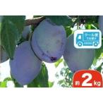 fu.... налог маленький ткань . блок Nagano префектура производство .. чернослив примерно 2kg