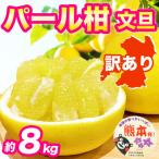 訳あり ご パール柑 文旦 約8kg