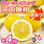 訳あり 河内晩柑 ジューシーオレンジ 約4kg