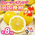 極早生みかん 約8kg