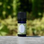 ゴヨウマツ精油 5ml