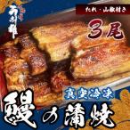 真空冷凍鰻蒲焼3尾 たれ 山椒付き