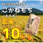 令和8年産 新米こがねもち 石井農玄米もち