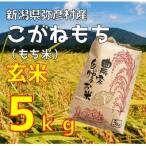 令和8年産新米 コシヒカリ 新潟 玄米 5kg