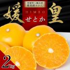 みかん 柑橘類 先行受付 紅プリンセスと同品種