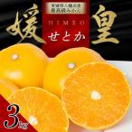 最高級みかん 媛皇 せとか 3kg