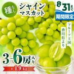 シャインマスカット 約1.9kg