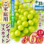 ご シャインマスカット 約1.9kg