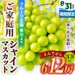 シャインマスカットまんでがん約4.9kg