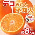 不知火 約8kg