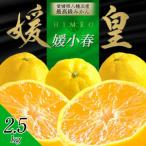 最高級みかん 媛皇 媛小春 2.5kg