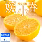 媛小春 7kg
