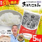 あきたこまち 精米 5kg