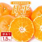 甘平 1.5kg