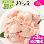 産若鶏ハラミ 3kgセット KN105-017