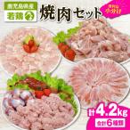 2653 若鶏焼肉4.2kgセット KN105-001