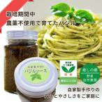 バジルソース 140g×1本