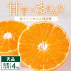紅プリンセス と同品種 愛媛果試48号4kg
