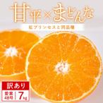 甘平×まどんな 7kg