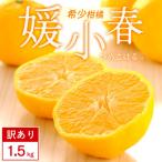 媛小春 1.5kg