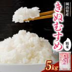 きぬむすめ 5kg×1袋