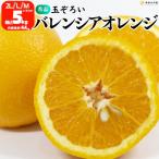 バレンシアオレンジ 玉ぞろい 秀品 箱込5kg