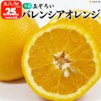 バレンシアオレンジ 秀品 箱込2.5kg