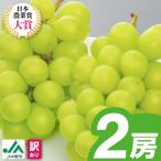 ふるさと納税 中野市 【2026年発送】訳ありシャインマスカット2房1kg以上　JA中野市から産直