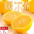 ふるさと納税 八幡浜市 【訳あり】媛小春 7kg みかん 愛媛県 八幡浜市 西宇和地区 希少な幻の柑橘【G25-361】
