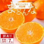 紅まどんな と同品種 愛果28号 7kg