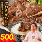 ふるさと納税 泉佐野市 やわらかハラミ 500g 氷温熟成×特製旨ダレ 味付き 訳あり サイズ不揃い 小分け mrz0348