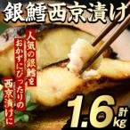 銀鱈西京漬け 計1.6kg
