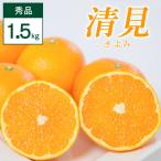 清見 1.5kg