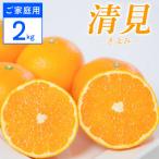 清見 2kg