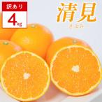 清見 4kg