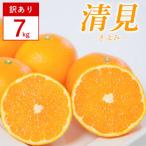 清見 7kg