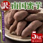 訳あり 熟成芋 南国蜜芋 紅はるか M~Lサイズ 計5kg