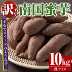 ふるさと納税 阿久根市 訳あり!数量限定!熟成芋「南国蜜芋」紅はるか 2Lサイズ 計10kg【うとさんち】akn067-08