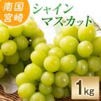 ふるさと納税 小林市 「豊かな自然が育む」小林市産シャインマスカット1kg(小林市)