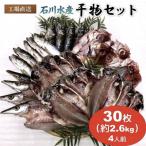 干物詰め合わせ 約30枚