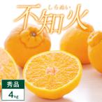 ふるさと納税 八幡浜市 不知火 4kg みかん 愛媛県 八幡浜市 西宇和地区 濃厚な柑橘【C25-373】