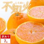 不知火 7kg