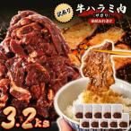 秘伝たれ漬け 訳あり 柔らか牛ハラミ サガリ