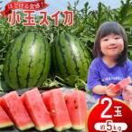 Farm honda 小玉スイカ 2玉