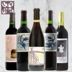旭洋酒 赤ワイン堪能5本セット