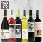 旭洋酒 山梨ワイン満喫6本セット